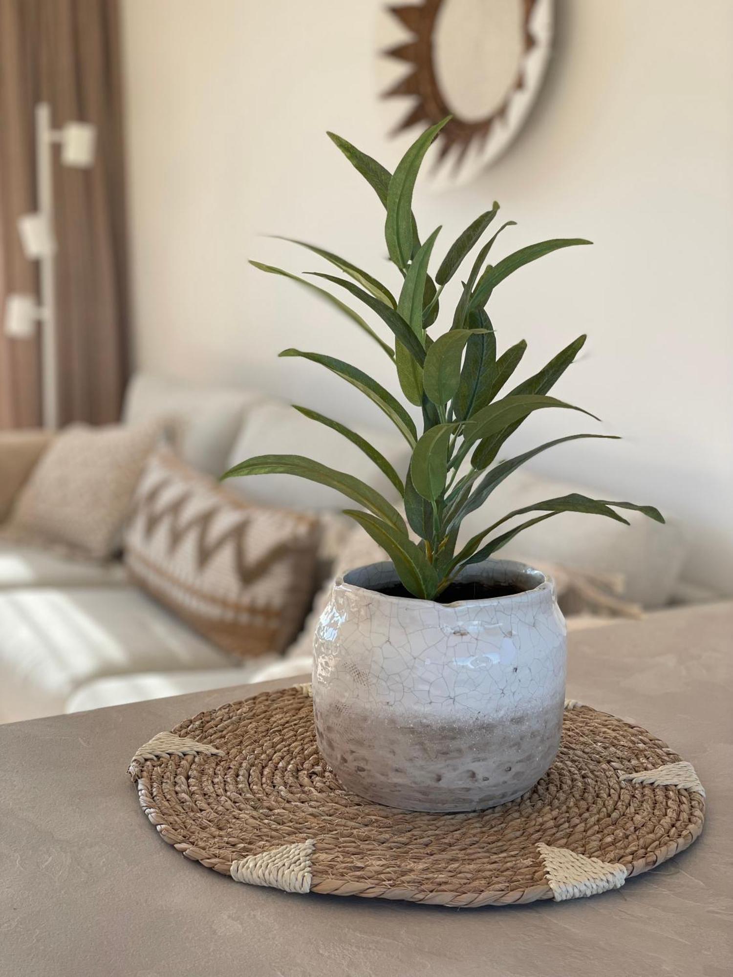 دي كوخ Appartementen Sonnenhof المظهر الخارجي الصورة